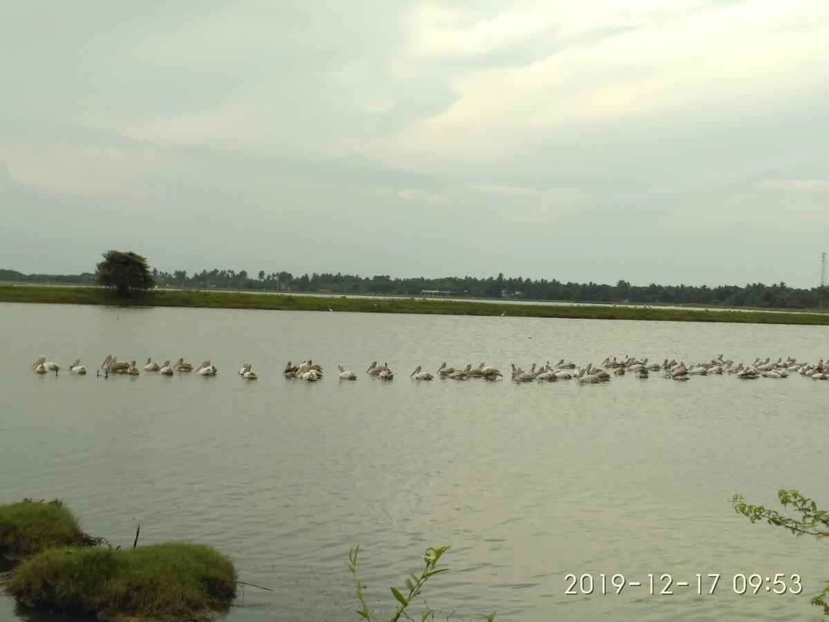 Hotel Bundala Park Weligatta ภายนอก รูปภาพ
